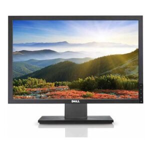 Dell P2210 monitor 22