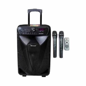 Karaoke zvučnik MR-301 Bluetooth