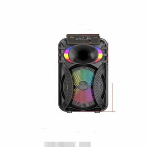 Bluetooth karaoke zvučnik ZQS10101